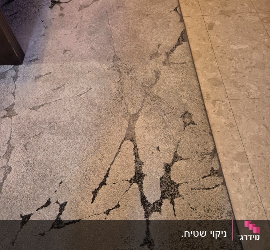 שטיח עם דוגמת סדקים על רצפת אריחים